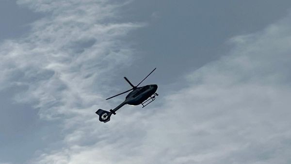 Polizei sucht mit Hubschrauber nach entlaufenem Hund auf A44