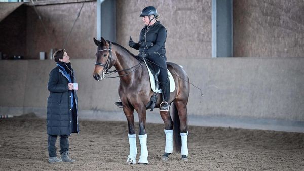 Olympia-Luft für Velberter Reiter: Lehrgang mit Weltmeisterin