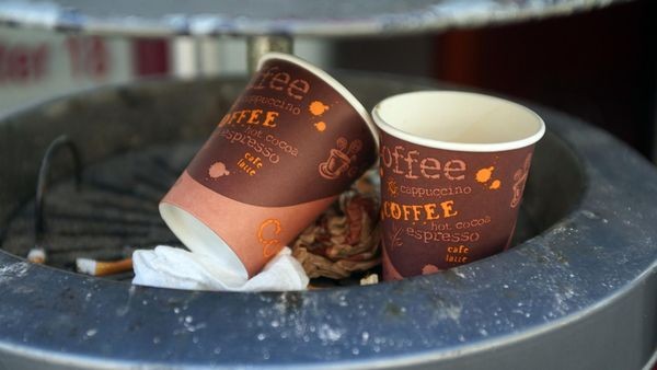 Pommes-Schale & Trinkhalm: Keine Verpackungssteuer in Velbert