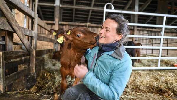 Selbst Landwirt sein: Velberter Bauernhof verkauft Anteile