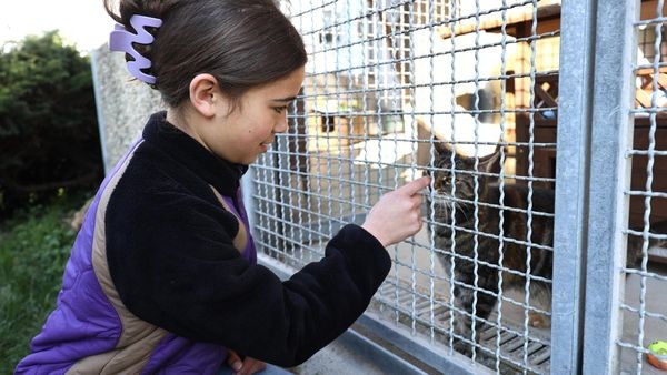 Schüler treffen die „Unvermittelbaren“ vom Tierheim Velbert