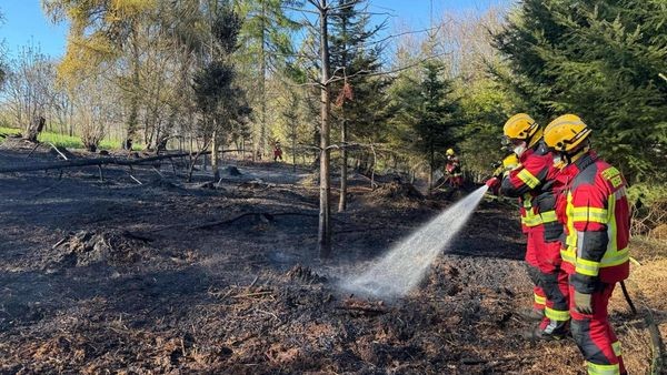 Nach Waldbrand: Warum die Gefahr in Velbert jetzt so groß ist