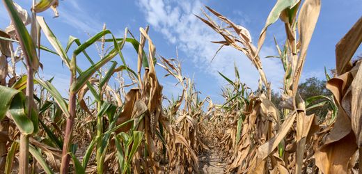 Klimawandel: Uno rechnet mit Hitzejahren, EU macht Hoffnung auf Erreichen der Klimaziele