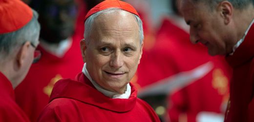 Papst Leo XIV.: Wie deutsche Katholiken über den neuen Pontifex denken