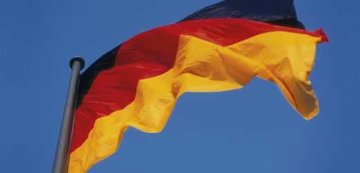 AfD in Sachsen-Anhalt: Deutschlandfahnen sogar auf Spielplätzen – was ist da los?