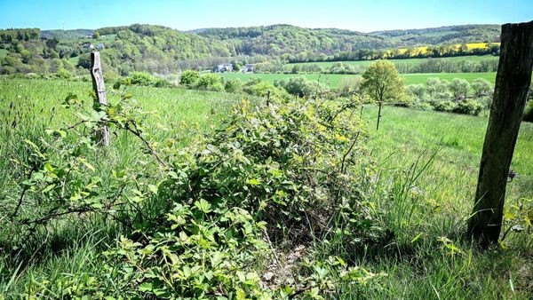 Ärger über Velberter Wanderweg geht in nächste Instanz