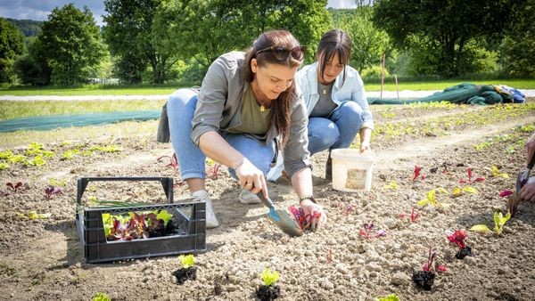 Mitmach-Garten: Gemeinsam säen, ernten und lernen in Velbert