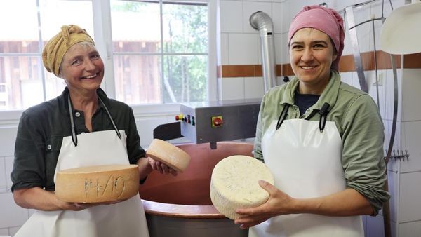 Käseherstellung mit allen Sinnen: Handwerk von Velberter Hof