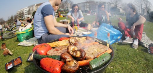 Ernährung und Verkehr: Männer emittieren 26 Prozent mehr Emissionen als Frauen