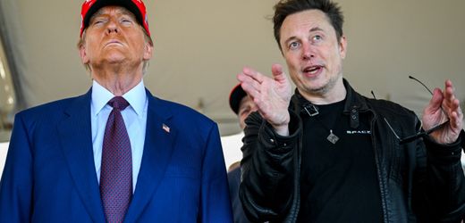 Donald Trump lobt Elon Musk vor dessen Abtritt als »besonderen Regierungsangestellten«