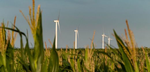 Uruguay: Gemeinsam kann die Energiewende gelingen – Alles Gute vom SPIEGEL