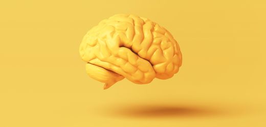 Gesundheit: Wie halten wir unser Gehirn fit?