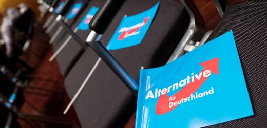 AfD-Verbot: Menschenrechtsinstitut sieht irreführende Diskussion über Verfahren
