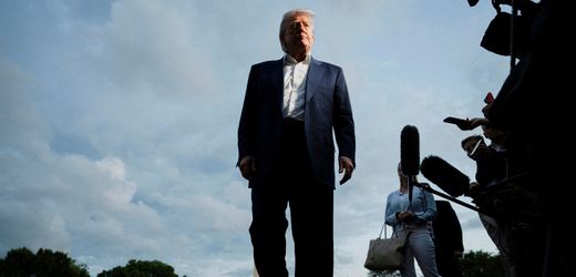Donald Trump könnte dabei helfen, den Kapitalismus zu zähmen – Gastbeitrag