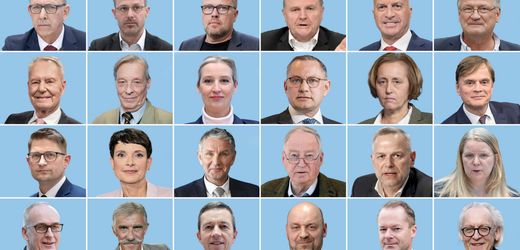 AfD bei Miosga, Maischberger und Lanz: Die AfD sitzt seltener in Talkshows, als man denkt