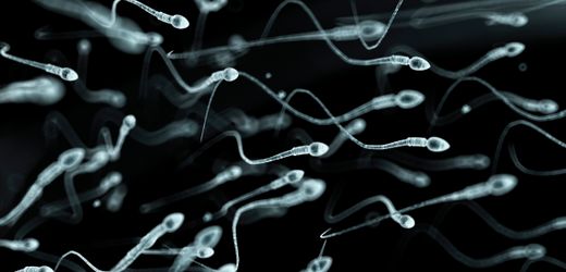 Samenspende: Risiken durch krebserregende Mutation bei Spender entdeckt