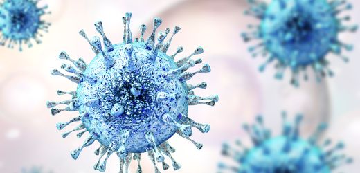 Mikrobiologie: Billionen von Viren leben auf dem Menschen – und halten ihn gesund