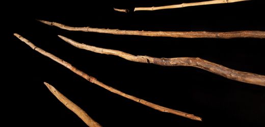 Schöninger Speere: Die ältesten vollständig erhaltenen Jagdwaffen der Welt sind vielleicht doch nicht so alt