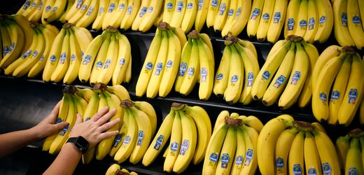 Chiquita will wegen Streik in Panama Tausende Arbeiter entlassen