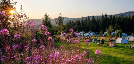 Camping-Tipps für Ostdeutschland: Stellplätze in Mecklenburg-Vorpommern, Thüringen und Sachsen