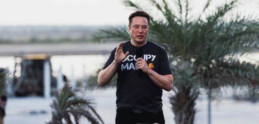 Elon Musk: Kritik an US-Regierung und Enttäuschung über Donald Trumps Steuerpläne
