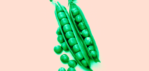 Gesunde Ernährung und Fasten: Was, wie und wie viel wir essen sollten