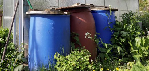 Heilbronn: Tote Tiere in Regentonne bei Grundschule gefunden