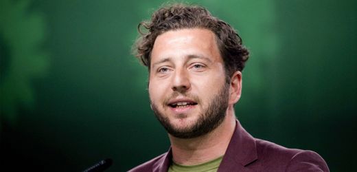 AfD-Verbot: Felix Banaszak (Grüne) fordert schnelle Einleitung des Verfahrens