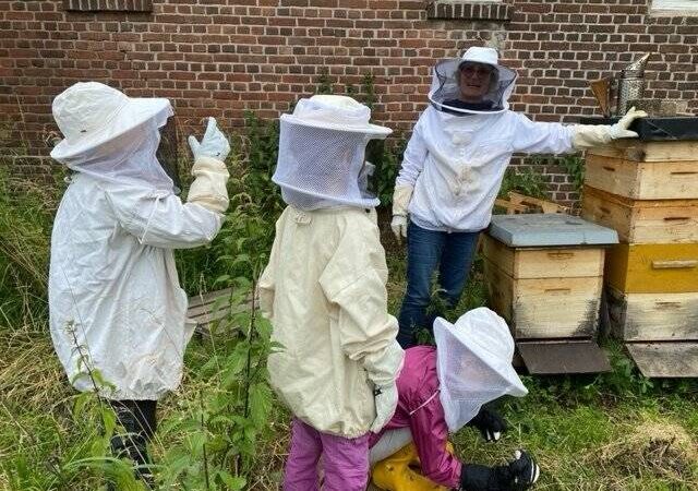 Programm startet im Juni: Natur entdecken mit den Umwelt-Scouts