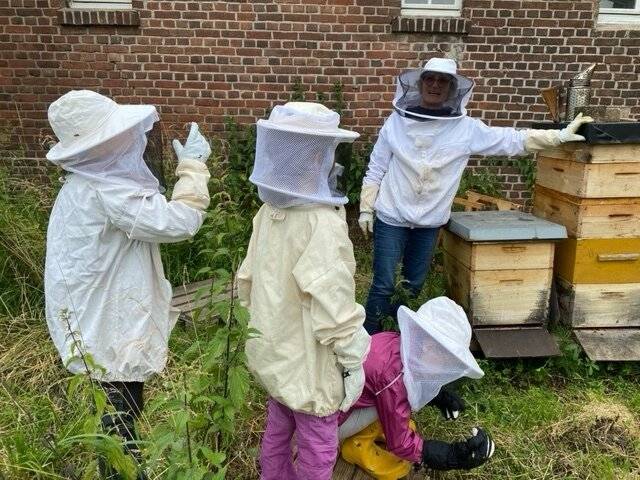 Programm startet im Juni: Natur entdecken mit den Umwelt-Scouts