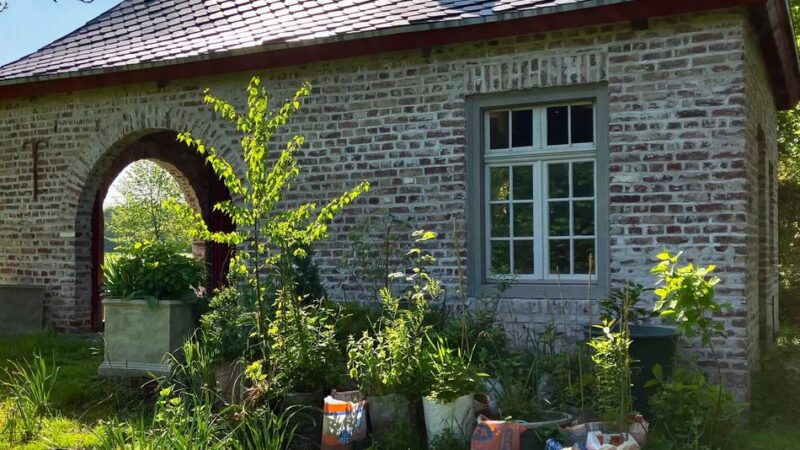 Offene Gartenpforte Rheinland 2025: Lustwandeln in fremden Gärten