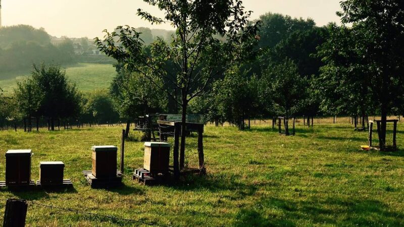 Interessantes über die Ortschaft Herbeck: „Tief im Westen“ von Radevormwald