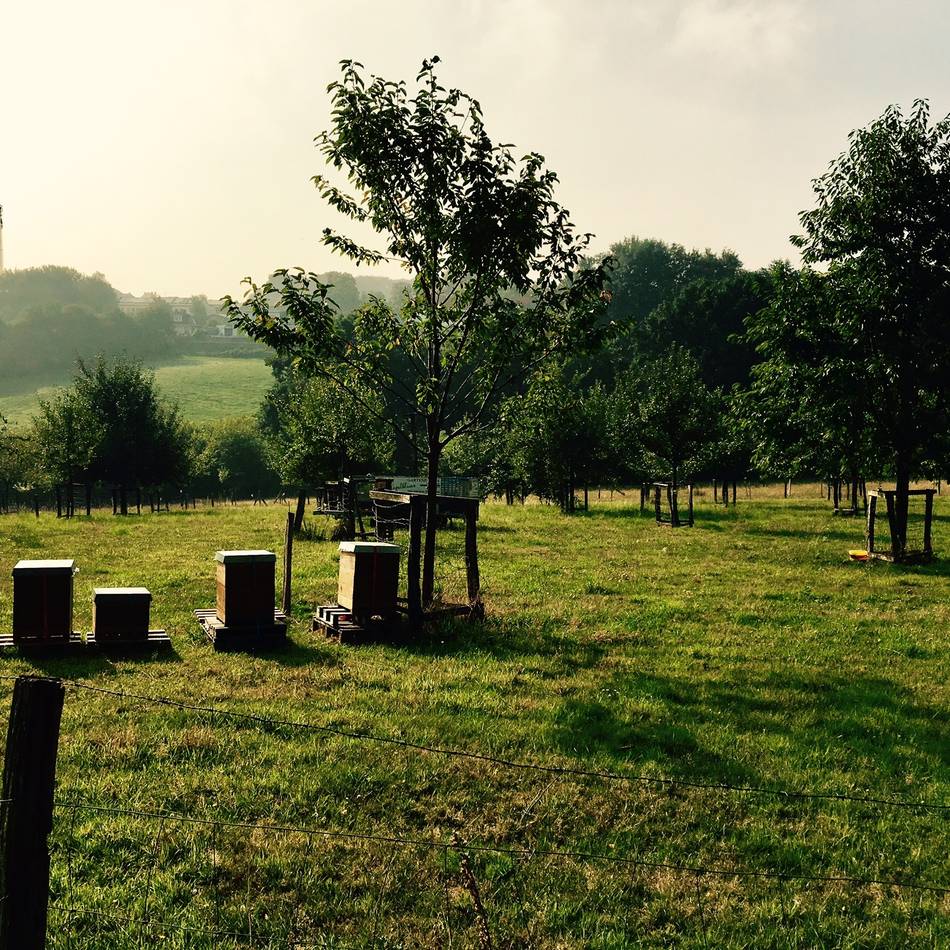 Interessantes über die Ortschaft Herbeck: „Tief im Westen“ von Radevormwald