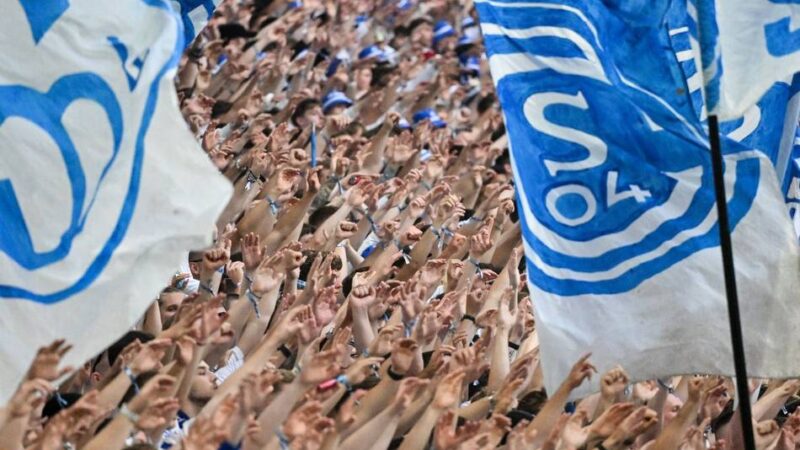 Gründe für den königsblauen Aufschwung: Trainer, Transfers, Talente – So geht’s bei Schalke jetzt bergauf