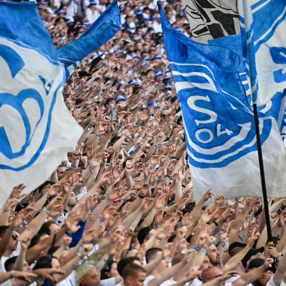 Gründe für den königsblauen Aufschwung: Trainer, Transfers, Talente – So geht’s bei Schalke jetzt bergauf