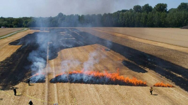 Dürre und Hitze im Sommer erwartet: Feuerwehr rechnet mit mehr Vegetationsbränden im Sommer