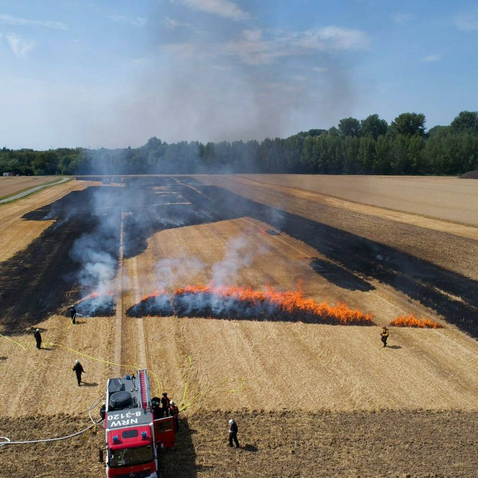 Dürre und Hitze im Sommer erwartet: Feuerwehr rechnet mit mehr Vegetationsbränden im Sommer