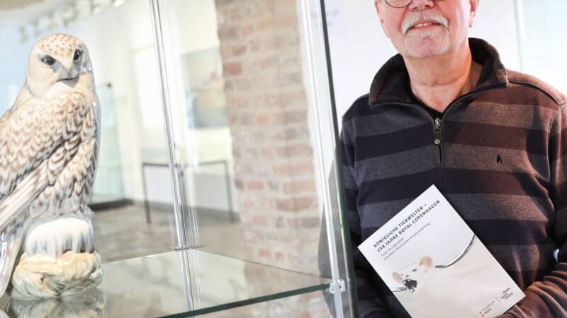 Ausstellung in Dormagen: Kreismuseum präsentiert „Königliche Welten“