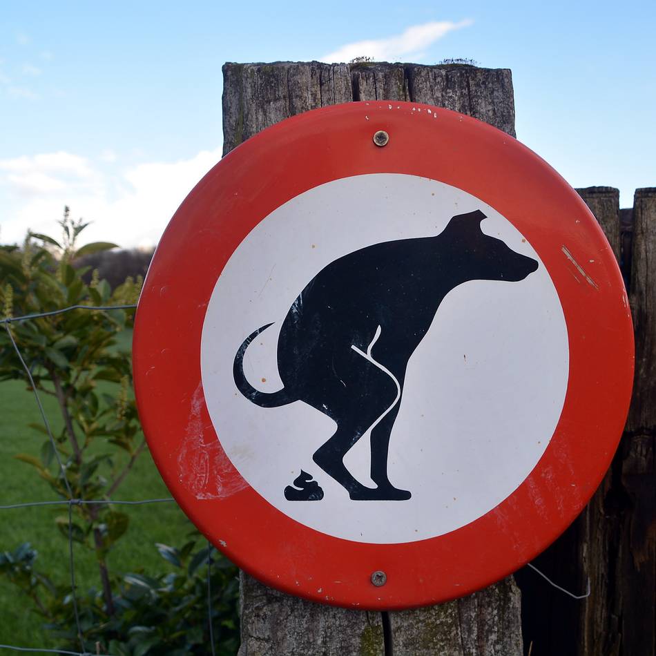 Diskussion in Kleve: DNA-Proben bei Hundekot? Das ist was für Anfänger!