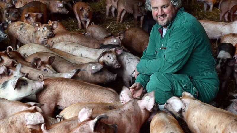 Pötterhof in Brüggen: Nach Tierwohl-Vorwürfen – „Ich habe nichts zu verbergen“