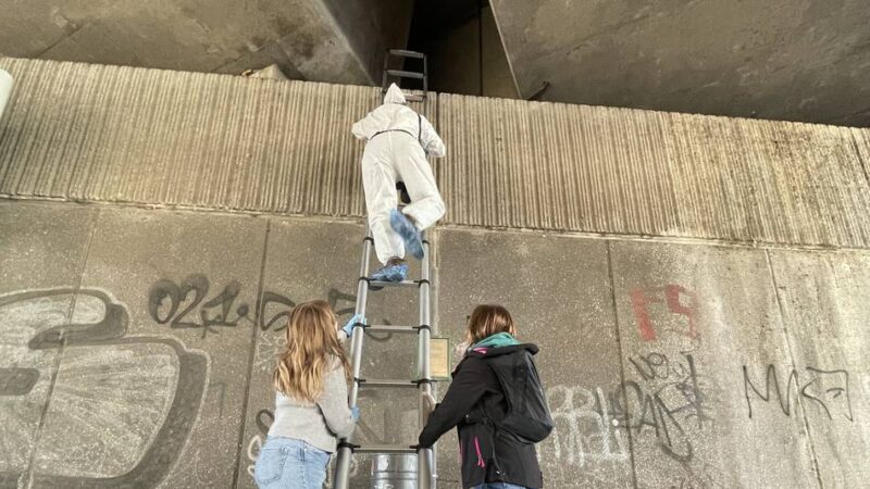 Neues Ehrenamtler-Team in Neuss: „Die Tauben brauchen unsere Hilfe“