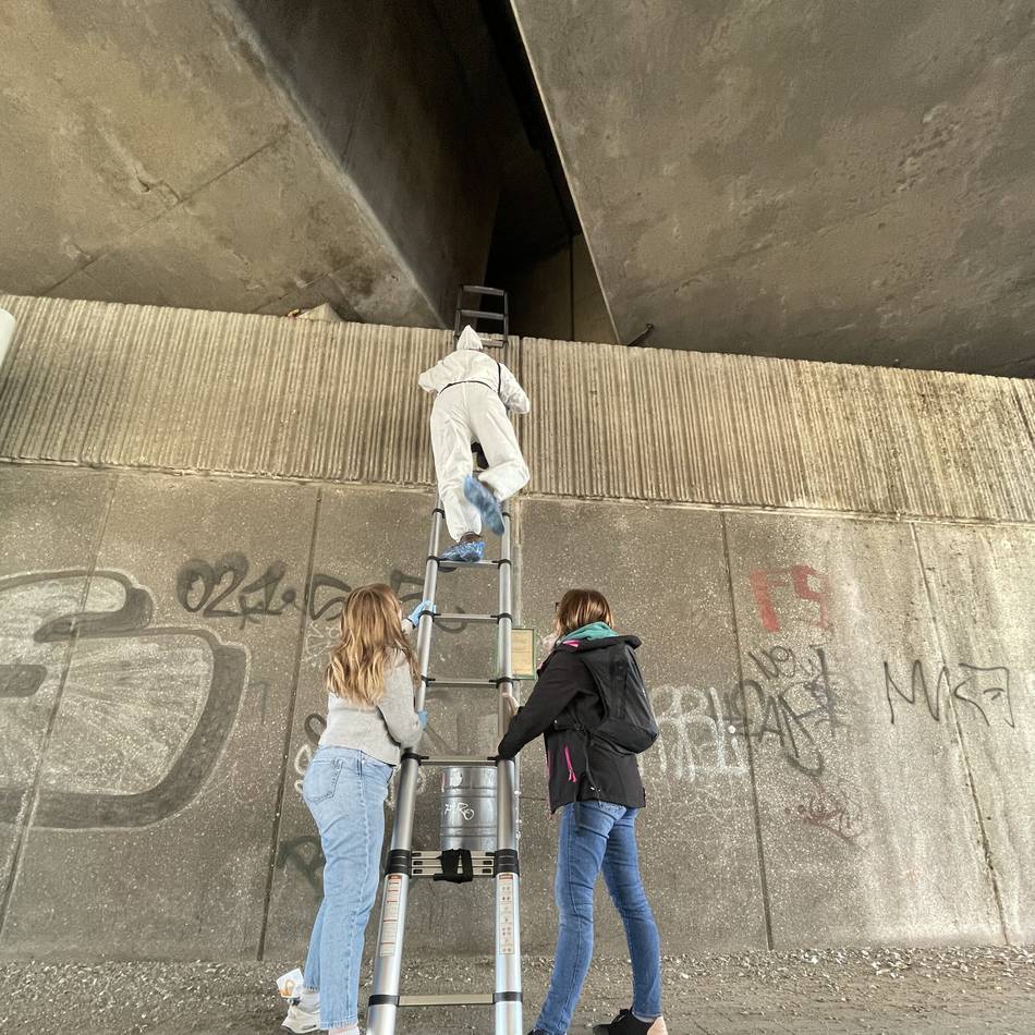 Neues Ehrenamtler-Team in Neuss: „Die Tauben brauchen unsere Hilfe“