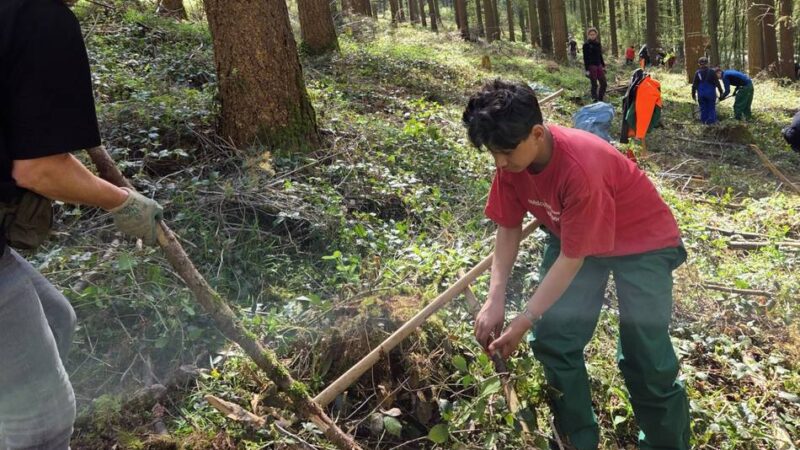 Jugendhilfeeinrichtung Raphaelshaus: Jugendliche aus Dormagen pflanzen Bäume in der Eifel