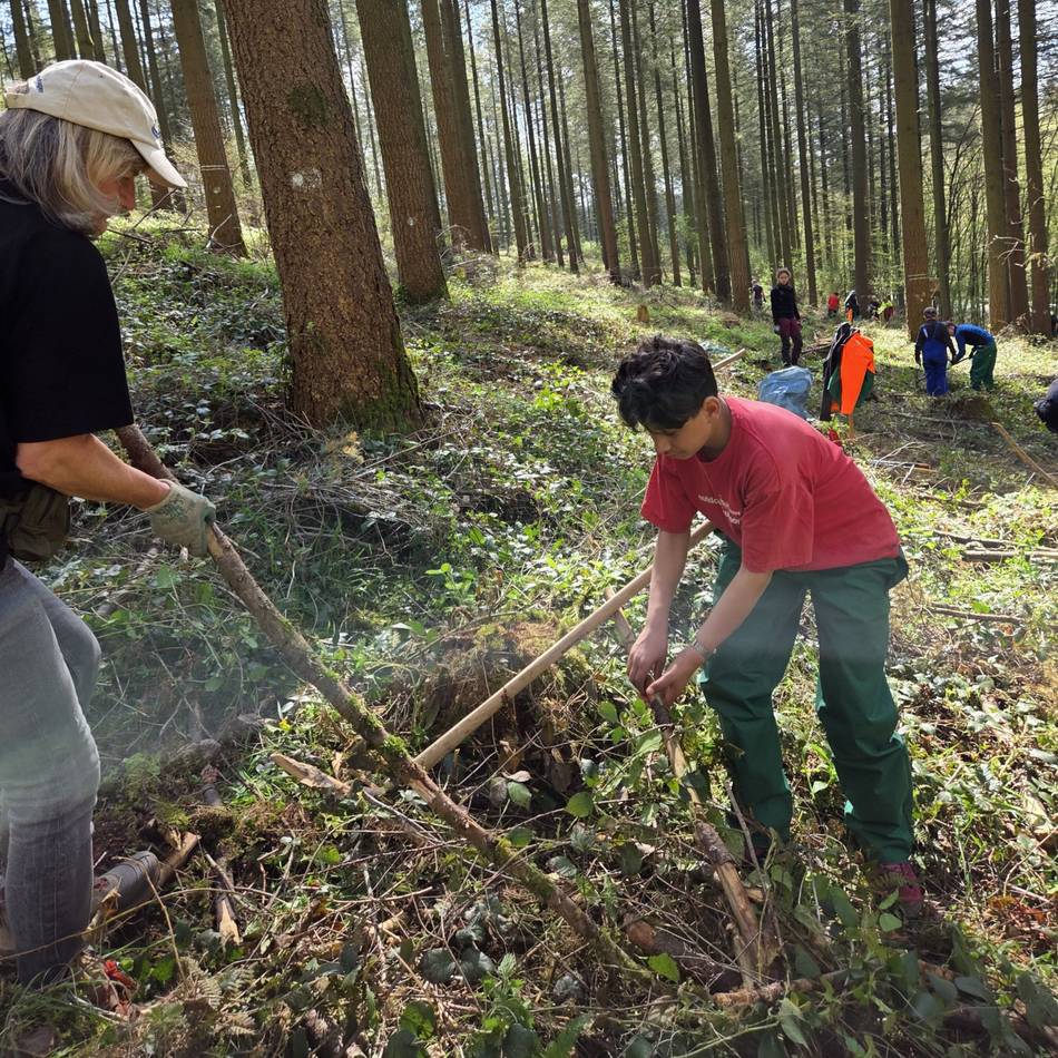 Jugendhilfeeinrichtung Raphaelshaus: Jugendliche aus Dormagen pflanzen Bäume in der Eifel