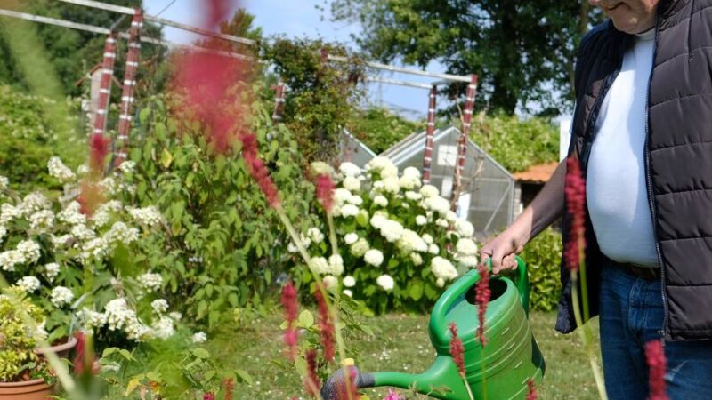 Mit Pflanzentauschbörse: Offene Gartenpforte im Kleingartenverein