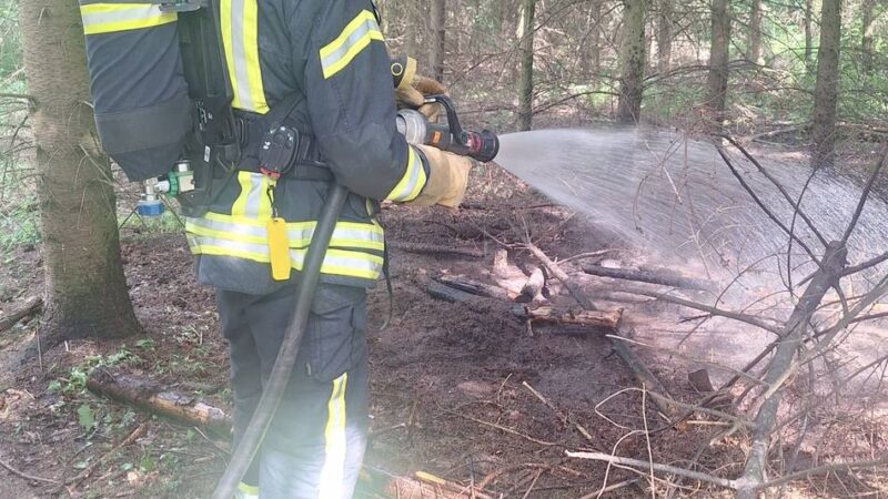 Feuer im Tannenbusch: Feuerwehr warnt vor erhöhter Waldbrandgefahr