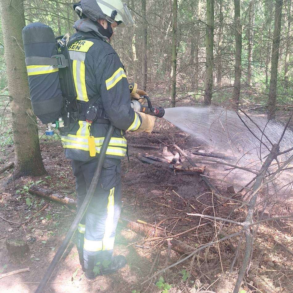 Feuer im Tannenbusch: Feuerwehr warnt vor erhöhter Waldbrandgefahr