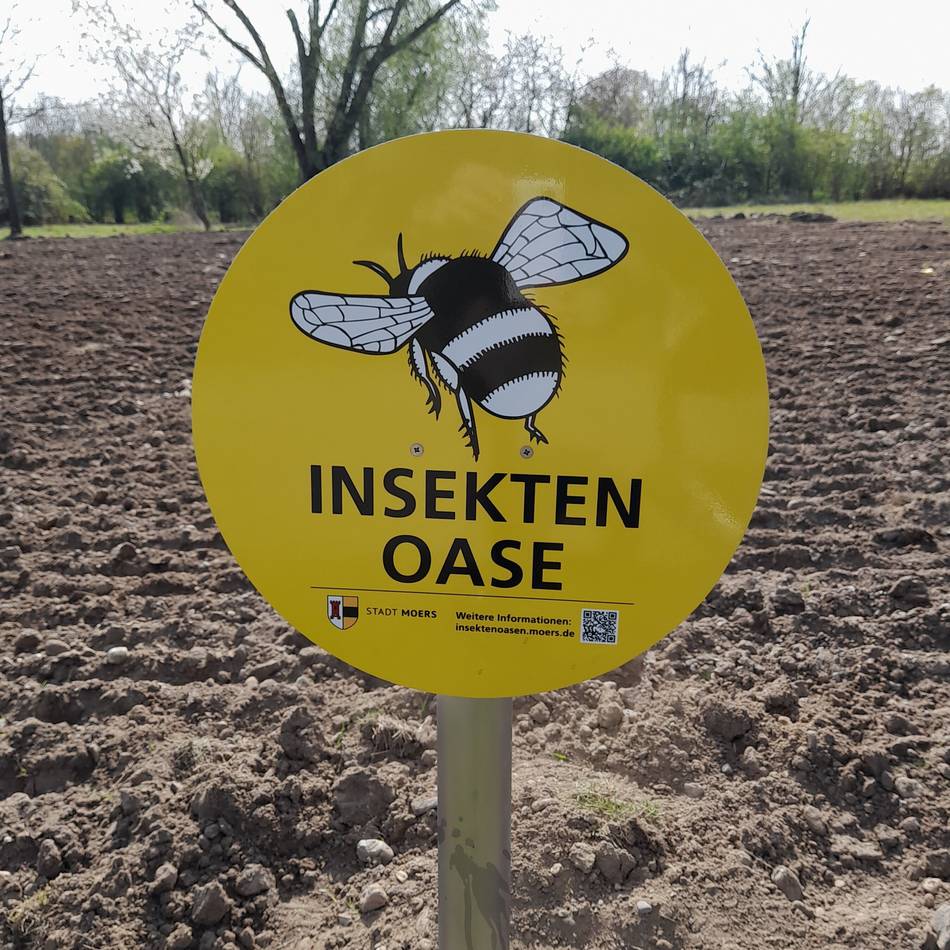 Lebensbedingungen von Tieren und Pflanzen: Ein Plan für mehr Artenvielfalt in Moers