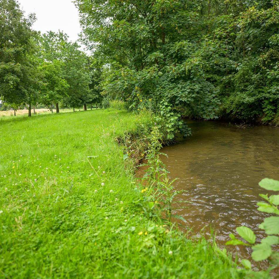 Wissenschaftliches Gutachten gefordert: Führte der Gillbach immer Wasser?