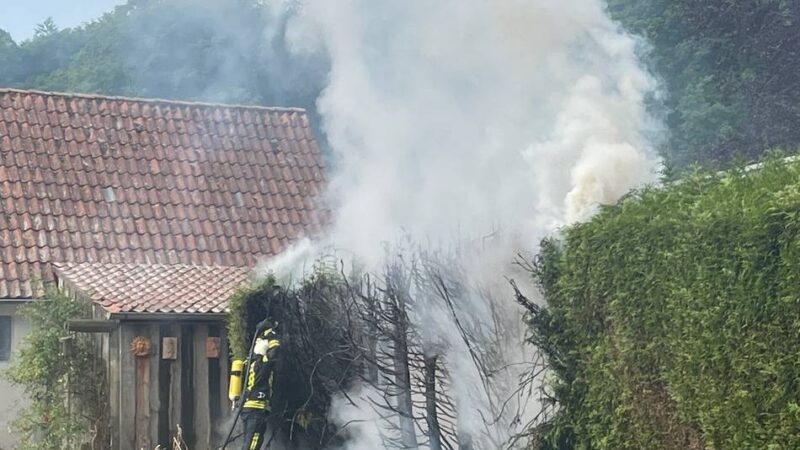 Nächster Heckenbrand im Kreis Kleve: Thuja-Hecke in Kranenburg brannte wegen Flämmarbeiten